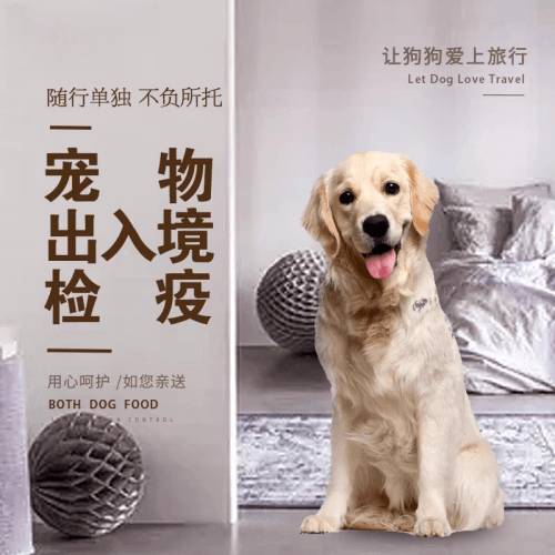 黄山市宠物托运到哥伦比亚猫狗宠物入境规定和