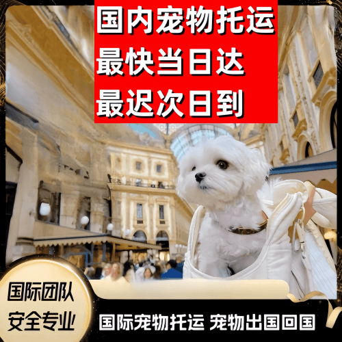 黄山市到澳大利亚（澳洲）宠物入境规定和要求