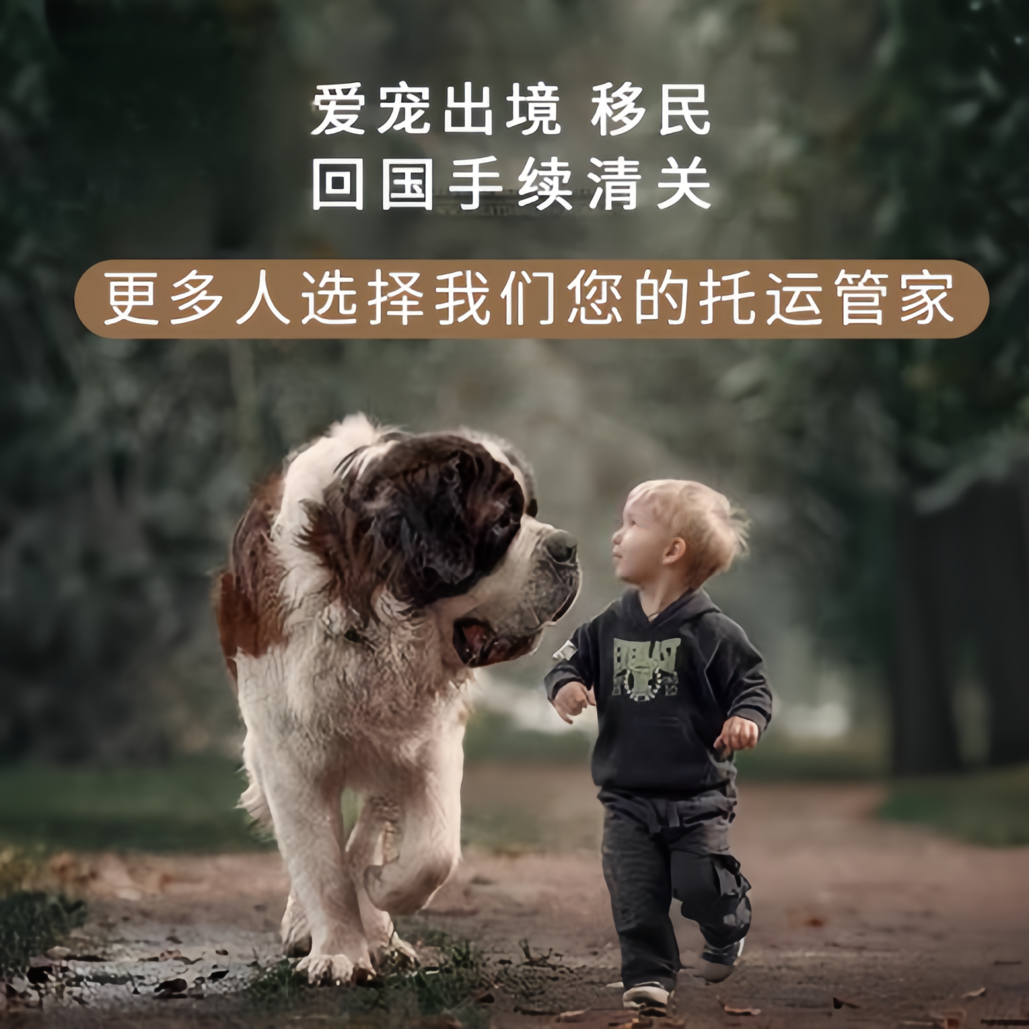 满财黄山市宠物全球达宠物托运在遵守入境目的地政策的条件