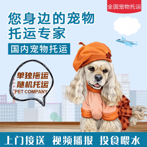 满财黄山市宠物全球达宠物托运作为专业的宠物运输代理机构